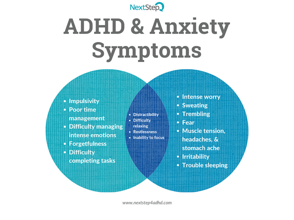 Is It ADHD? It Could Be Anxiety - Next Step 4 ADHD