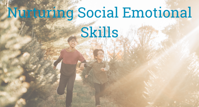 What Are Social Emotional Skills and How Do You Nurture Them?
